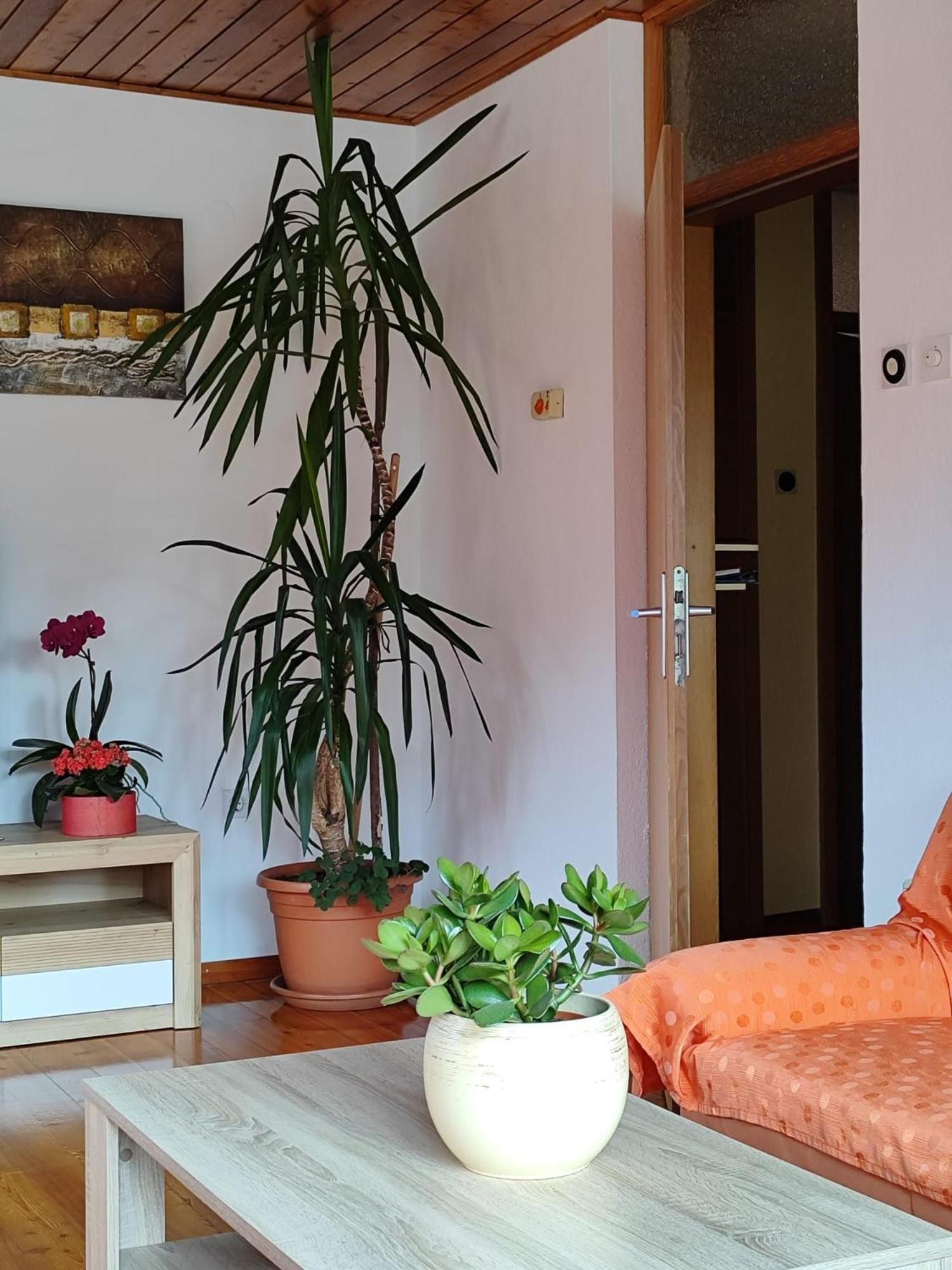 Apartment Kolman Tolmin Bagian luar foto